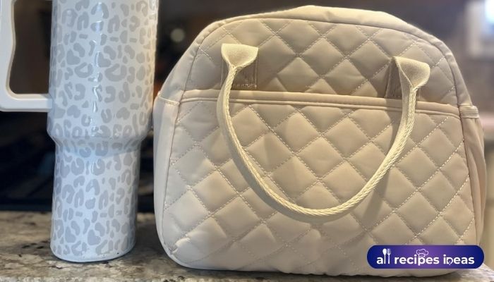 CAMTOP lunch bag review