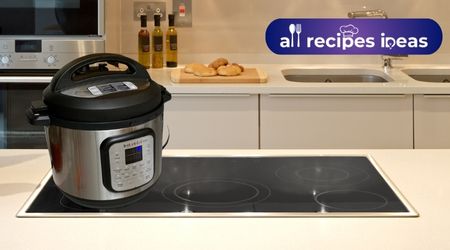 The Slow Cooker Instant Pot 110-0043-01