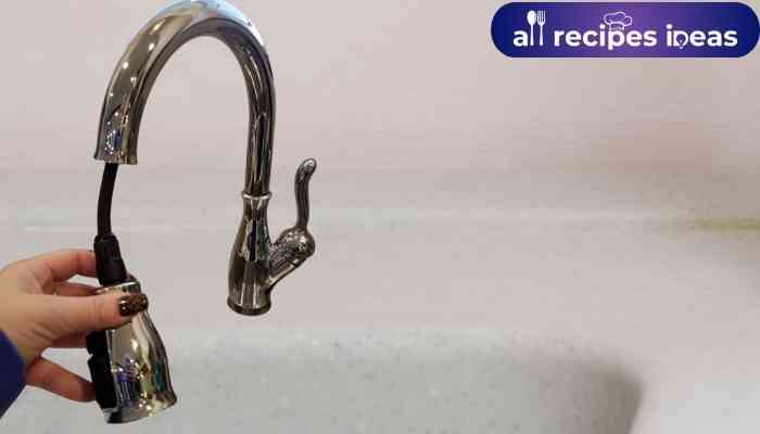 The Kitchen Faucet Delta Leland Kitchen Faucet