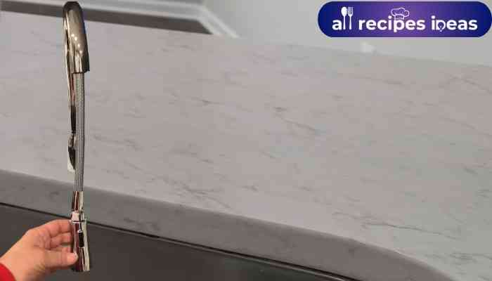The Kitchen Faucet Moen Adler 87233srs