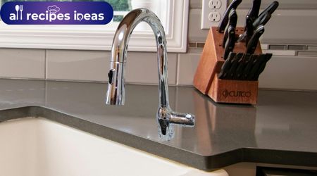 The Kitchen Faucet Moen Adler 87233srs