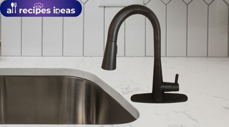 The Kitchen Faucet Moen Sleek faucet