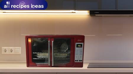 The Oven Oster Convection Oven
