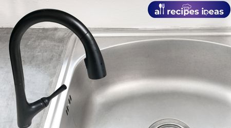 The Kitchen Faucet kohler malleco r562-sd
