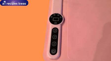 The Premium Silicone Portable Electric Warming Tray Review