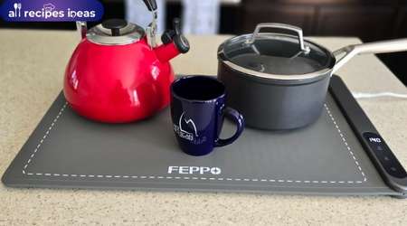 FEPPO Food Warming Mat Review