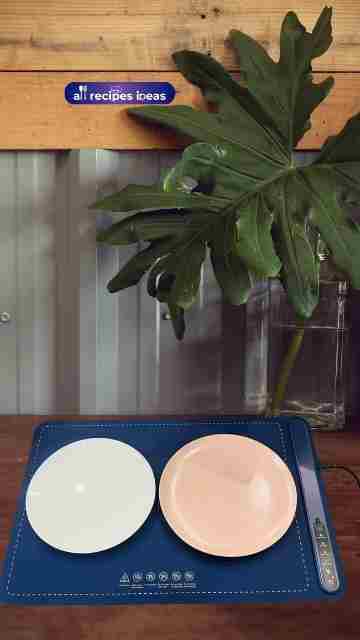 Fast Heating Silicone Electric Warming Tray Review